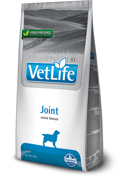 JOINT CANINE