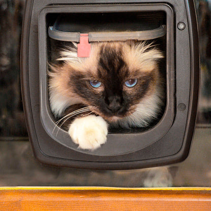 SWING MICROCHIP Portina per gatti con sistema d'apertura a microchip BIANCA