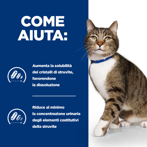 Hill's Prescription Diet s/d alimento per gatti 1,5kg