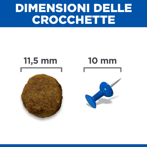 Hill's Science Plan Medium Adult alimento per cani 12KG