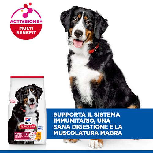 Hill's Science Plan Large Breed Adult alimento per cani 12KG