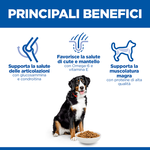 Hill's Science Plan Large Breed Adult alimento per cani 12KG