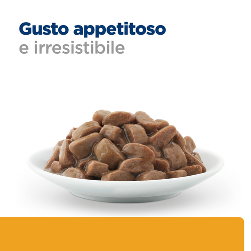 Hill's Prescription Diet c/d Multicare alimento per gatti busta 12pzx85gr