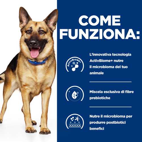 Hill's Prescription Diet Canine Canine Gastrointestinal Biome alimento per cani 10KG