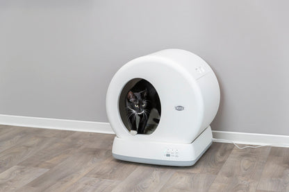 Lettiera per gatti autopulente