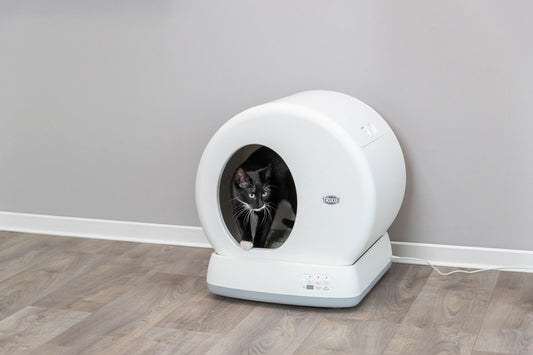 Lettiera per gatti autopulente