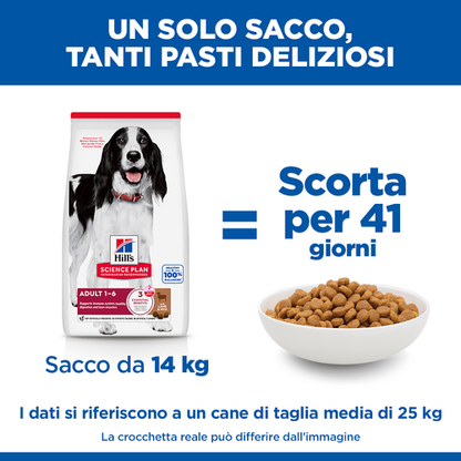 Hill's Science Plan Medium Adult alimento per cani 12KG