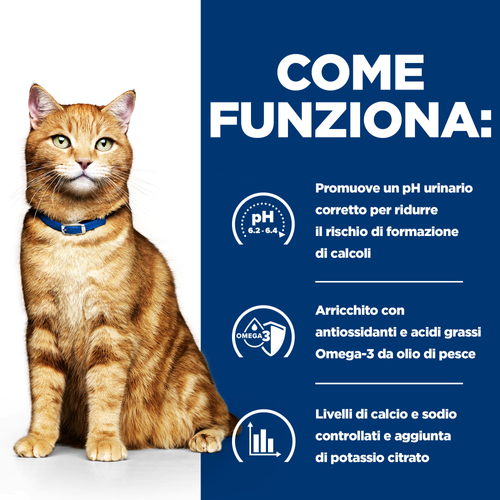 Hill's Prescription Diet c/d Multicare alimento per gatti busta 12pzx85gr