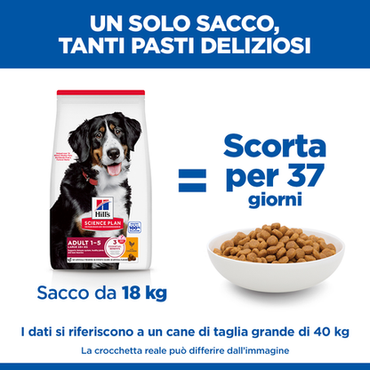 Hill's Science Plan Large Breed Adult alimento per cani 12KG