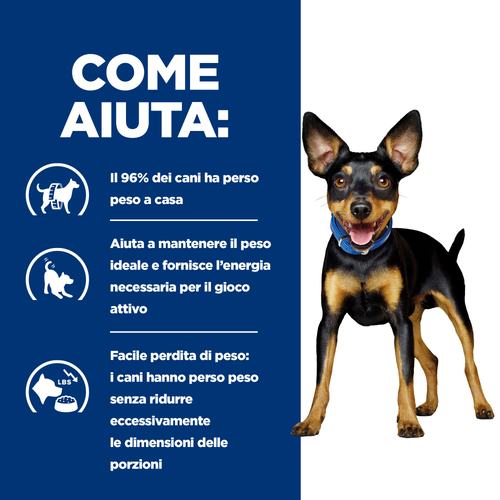 Hill's Prescription Diet Canine Metabolic Mini alimento per cani