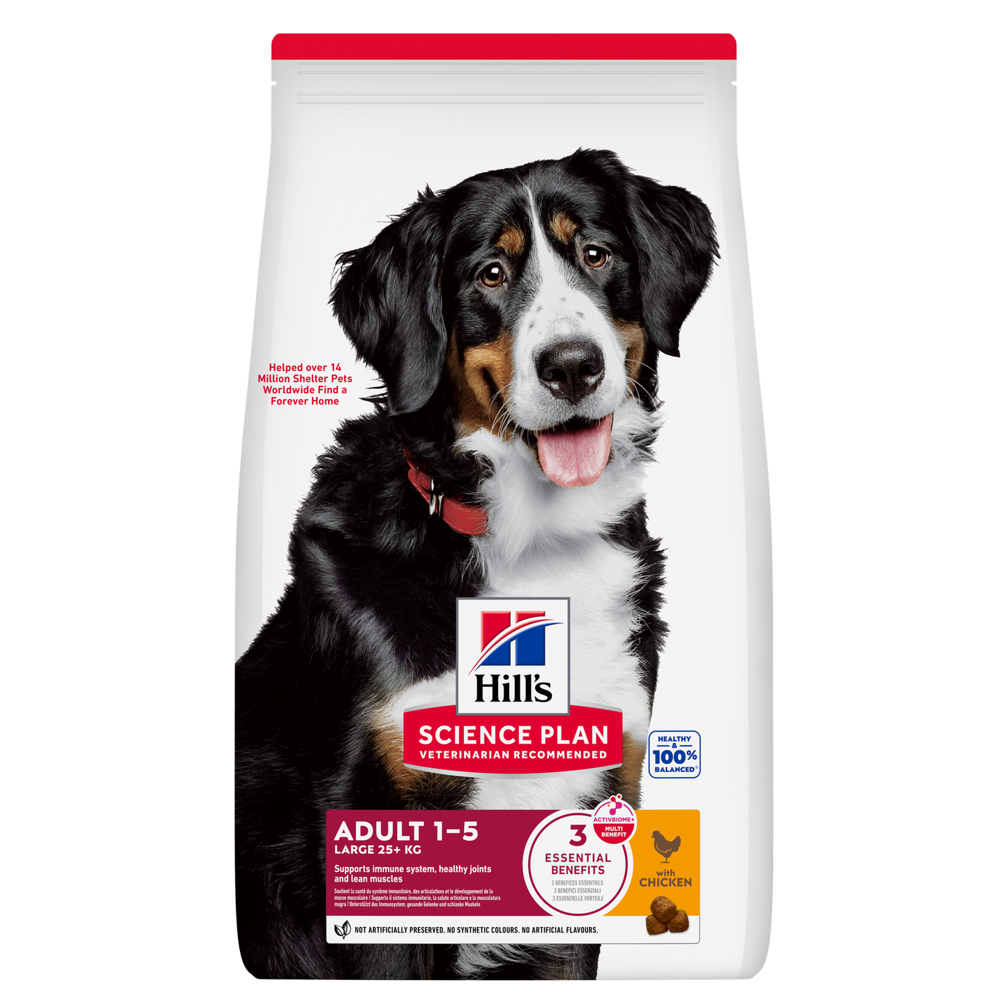 Hill's Science Plan Large Breed Adult alimento per cani 12KG