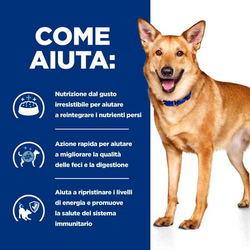 Hill's Prescription Diet Canine I/D