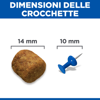 Hill's Science Plan Large Breed Adult alimento per cani 12KG