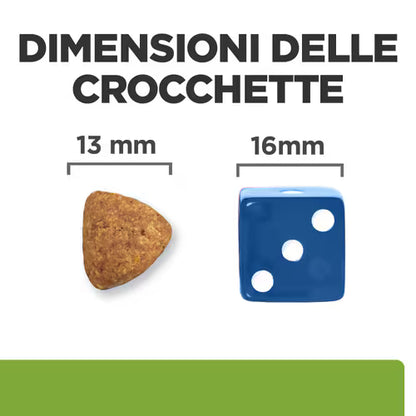 Hill's Prescription Diet Canine Metabolic + Mobility alimento per cani 10kg
