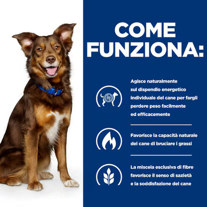 Hill's Prescription Diet Canine Metabolic + Mobility alimento per cani 10kg