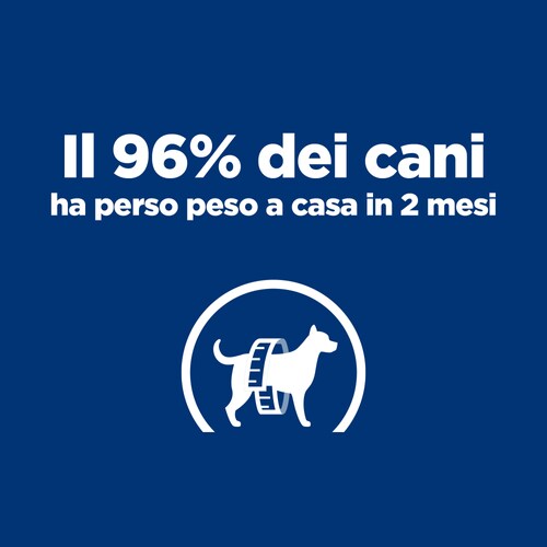 Hill's Prescription Diet Canine Metabolic + Mobility alimento per cani 10kg