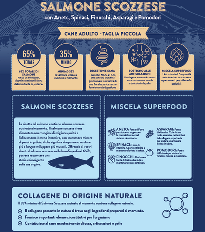 NUTRISENT Cane Adulto Taglia Piccola Salmone Scozzese con Aneto, Spinaci, Finocchi, Asparagi e Pomodori 2kg