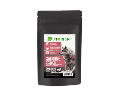 NUTRISENT Cane Adulto Taglia Piccola Salmone Scozzese con Aneto, Spinaci, Finocchi, Asparagi e Pomodori 2kg