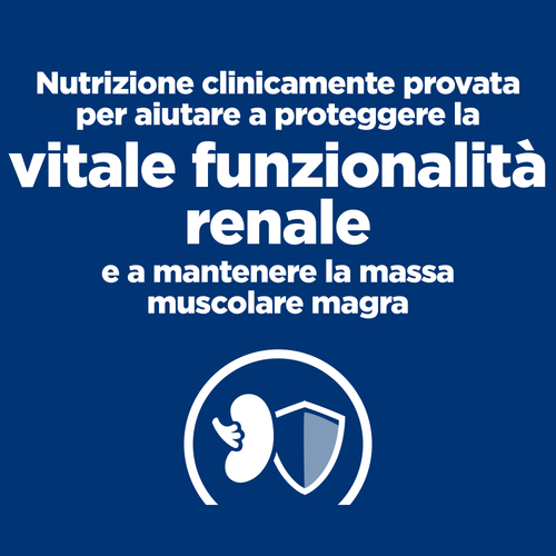 Hill's Prescription Diet k/d alimento per gatti