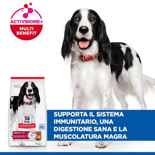 Hill's Science Plan Medium Adult alimento per cani 12KG