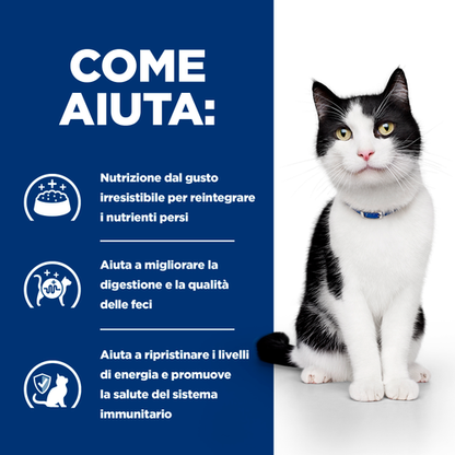 Hill's Prescription Diet i/d alimento per gatti 1,5kg