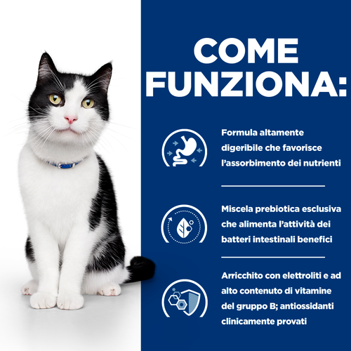 Hill's Prescription Diet i/d alimento per gatti 1,5kg