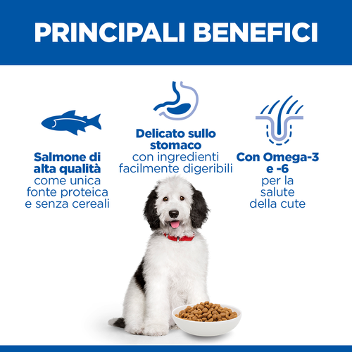 Hill's Science Plan dog Hypoallergenic Adult Large Breed 12kg